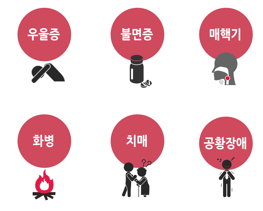 한국한의원, 한국한의원 정신경 클리닉, 치료범위, 불면증, 매핵기