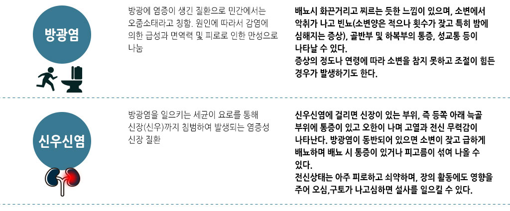 한국한의원, 한국한의원 남성 클리닉, 치료범위, 방광염, 신우신염
