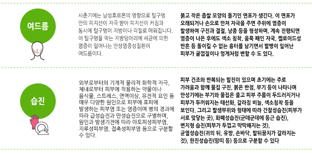 한국한의원, 한국한의원 피부 클리닉, 치료범위, 여드름, 습진